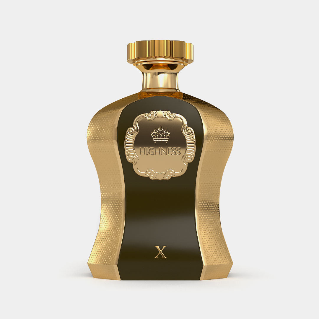 HIGHNESS X - Afnan Perfumes - USA