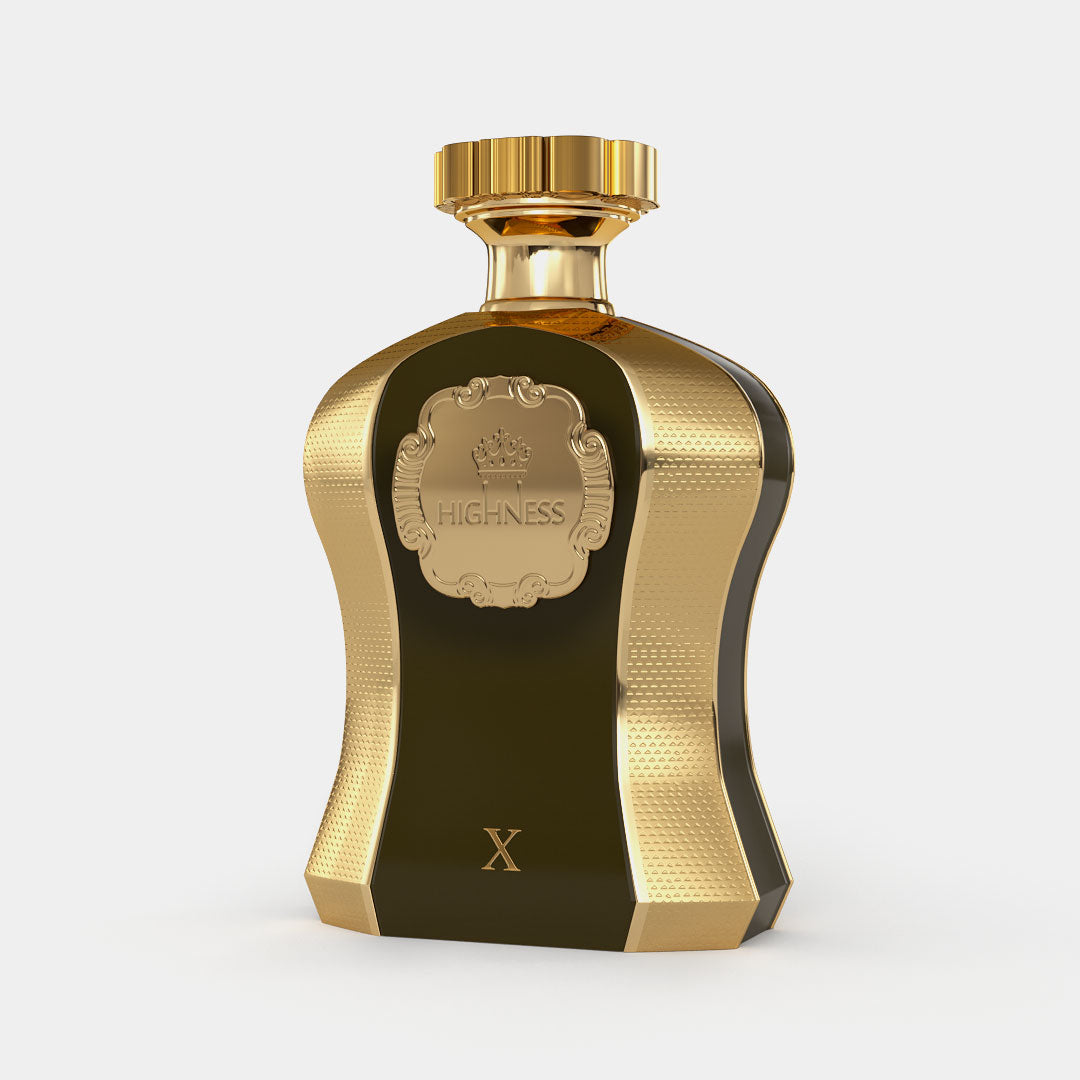 HIGHNESS X - Afnan Perfumes - USA